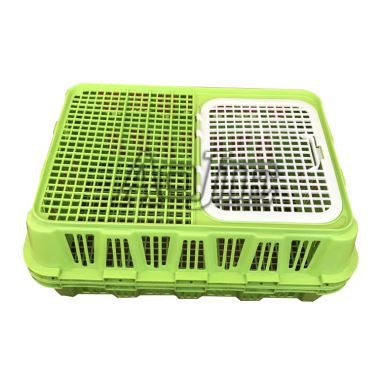 Plastikinių kiaušinių transportavimo dėžių forma